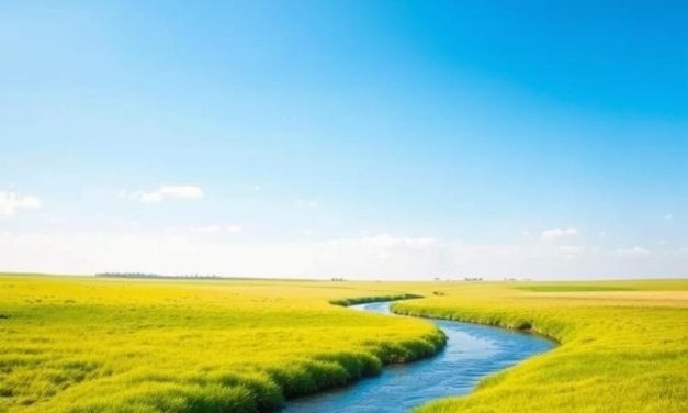 Ból pleców – przyczyny, objawy i metody leczenia